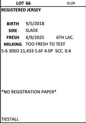 274864