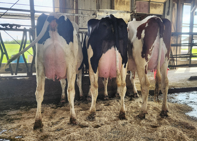 281349