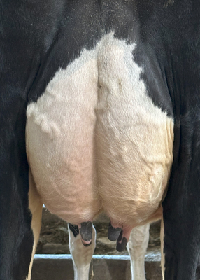 281429