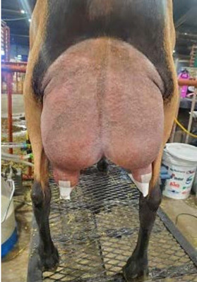 278281