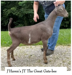 278284