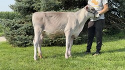 279851