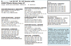 284355