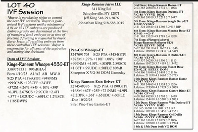 284804