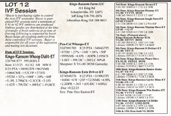 284742