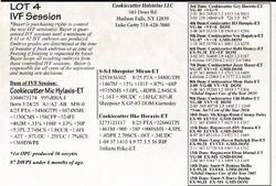 284802