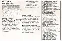 284804