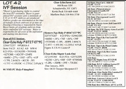 284810