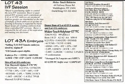 284813