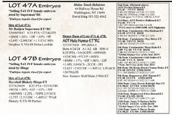 284823