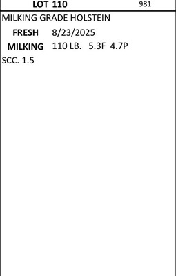 283266
