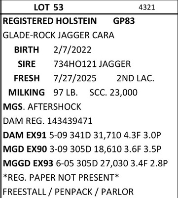 283445
