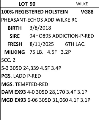 283572