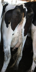 283374