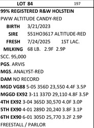 283515