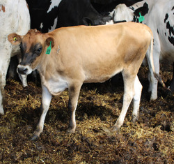 283595