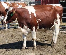 283610