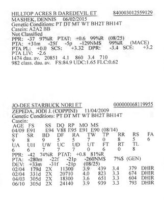 283911