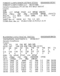 283810