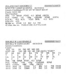 283834