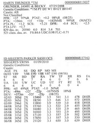 283854