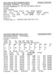 283872