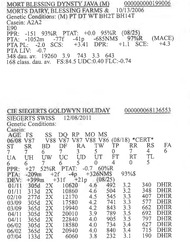 283904