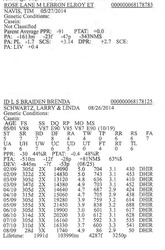 283908