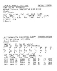 283924