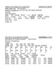 283941
