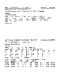 283942