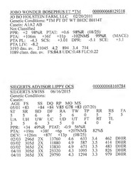 283958