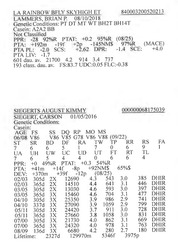283964