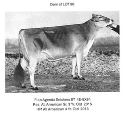 283981
