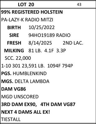 285941