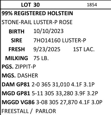 286053