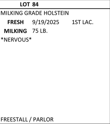 286171