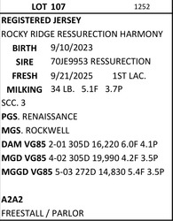 285903