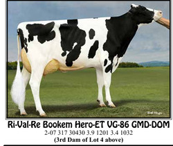 286073