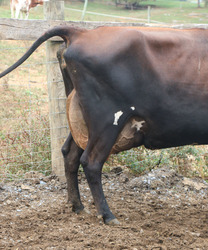 286118