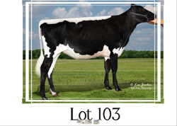 285068