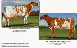 288997