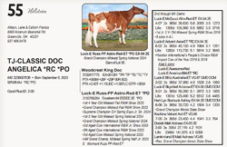 289031