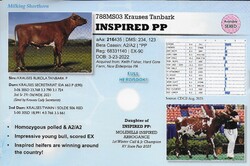 289677