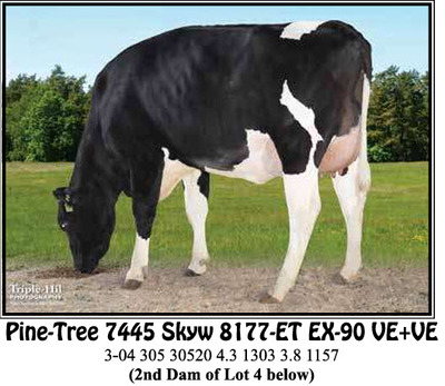 289370