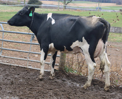 289153