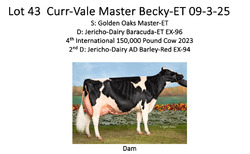 303386