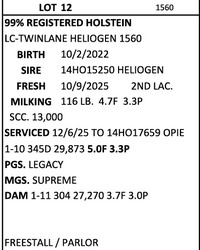 291593