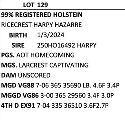291611