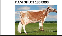 291614